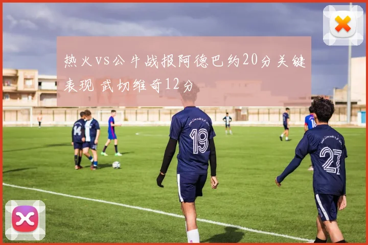热火vs公牛战报阿德巴约20分关键表现 武切维奇12分