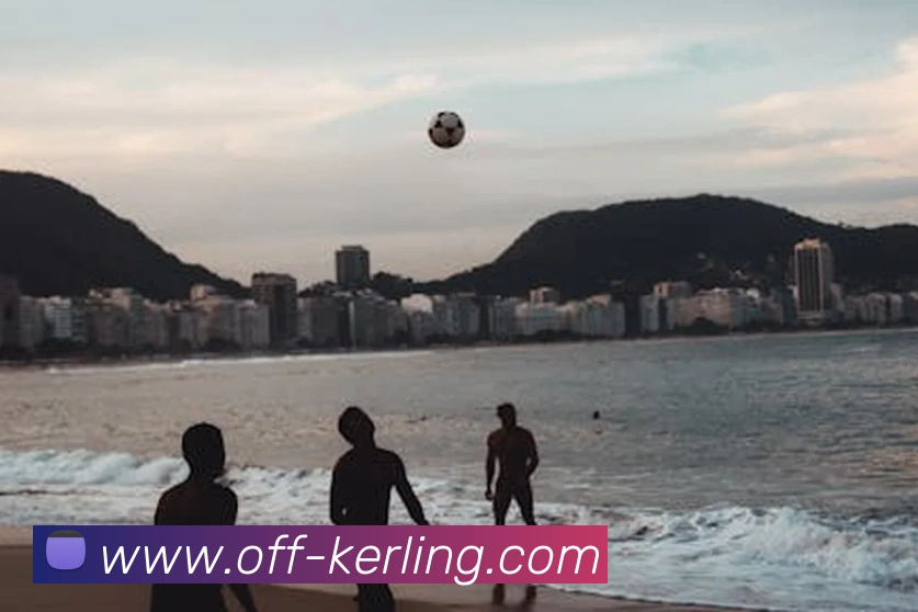 kerling入口平台生态图